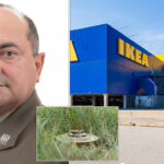 Polish General Fired After Anti-Tank Mines Found in Ikea Warehouse