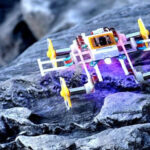 Chinese Scientists Develop World’s Smallest Transforming Microrobot for Hazardous Tasks